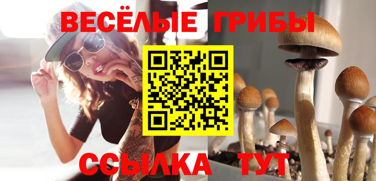 Галлюциногенные грибы мухоморы Калуга