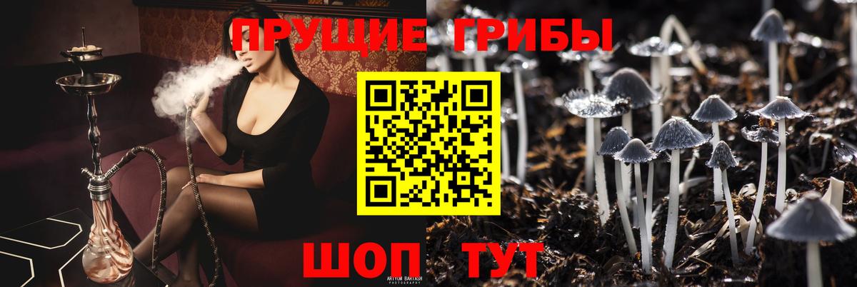 Галлюциногенные грибы Psilocybe  Вход с VPN  Калуга 